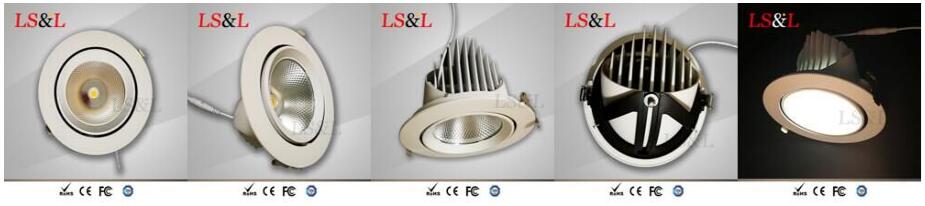 天井照明.jpg ceiling light.jpg